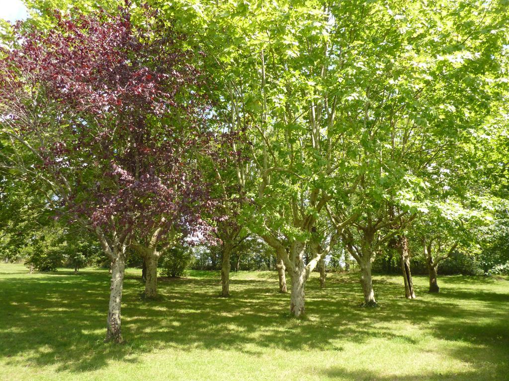 ホテルCamping Parc Du Chateau D'Allot ボエ エクステリア 写真